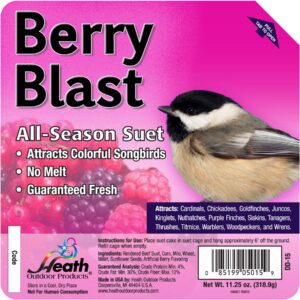 Berry Blast Treat Suet - 11 oz.