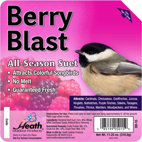 Berry Blast Treat Suet - 11 oz.
