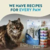 Earthborn Monterey Medley Grain Free Feline - 5.5 oz. - Image 7
