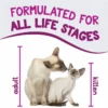 Earthborn Catalina Catch Grain Free Feline - 5.5 oz. - Image 3