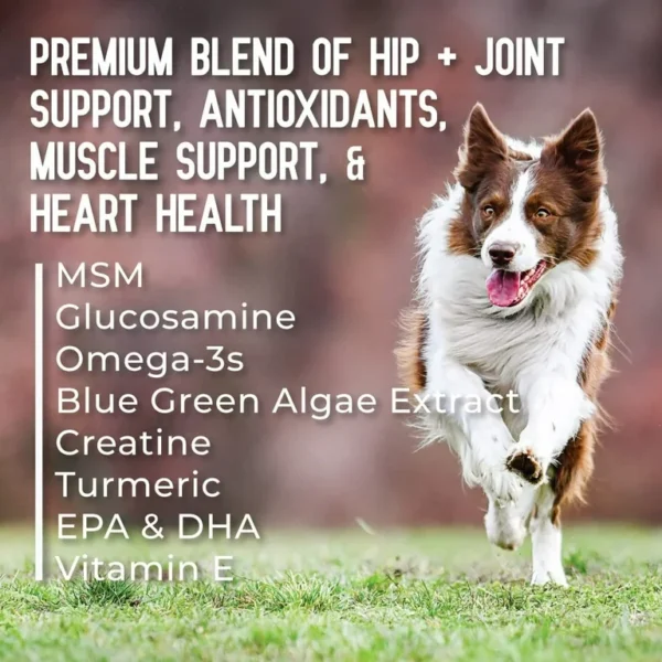 ActivPhy Joint Soft Chews - 75 chews - Image 3