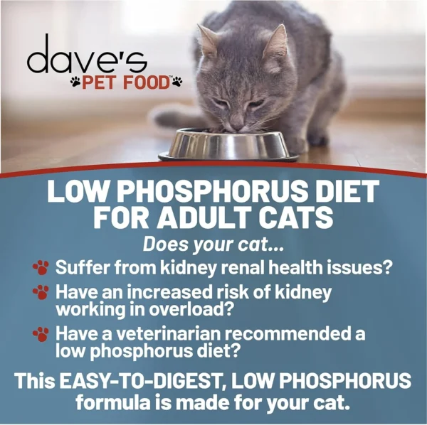 Dave's Restricted Diet Feline Protein/Phosphorus - Chicken 5.5 oz. - Image 3