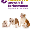 Holistic Growth & Performance