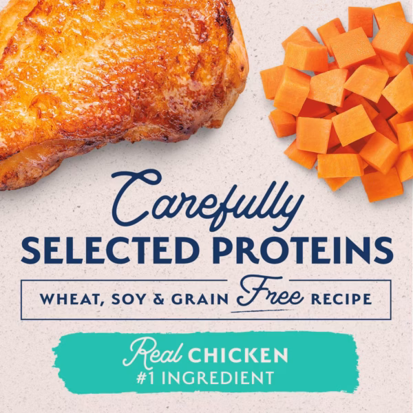 Natural Balance L.I.D. Chicken & Sweet Potato - 13 oz. - Image 2