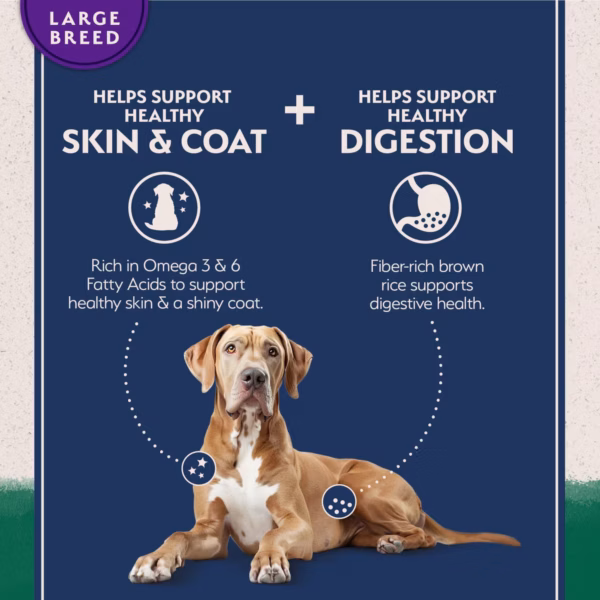 Natural Balance L.I.D. Lamb & Brown Rice Large Breed Bites - 26 lb. - Image 3