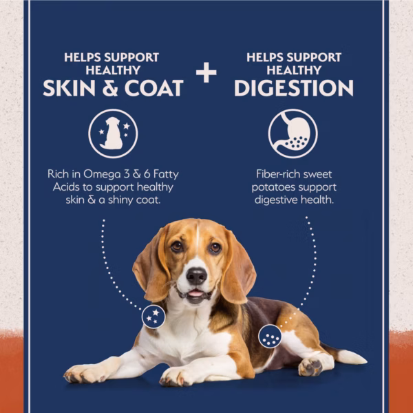 Natural Balance L.I.D. Salmon & Sweet Potato Dog Food - 12 lb. & 24 lb. - Image 3