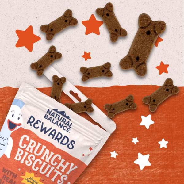Natural Balance L.I.T. Sweet Potato & Salmon Dog Treat - Image 4