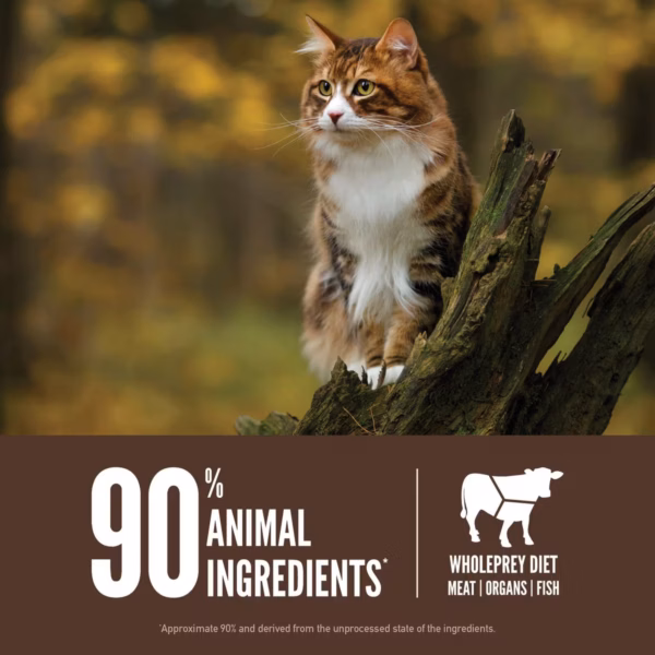 Orijen Regional Red for Cats - Image 5