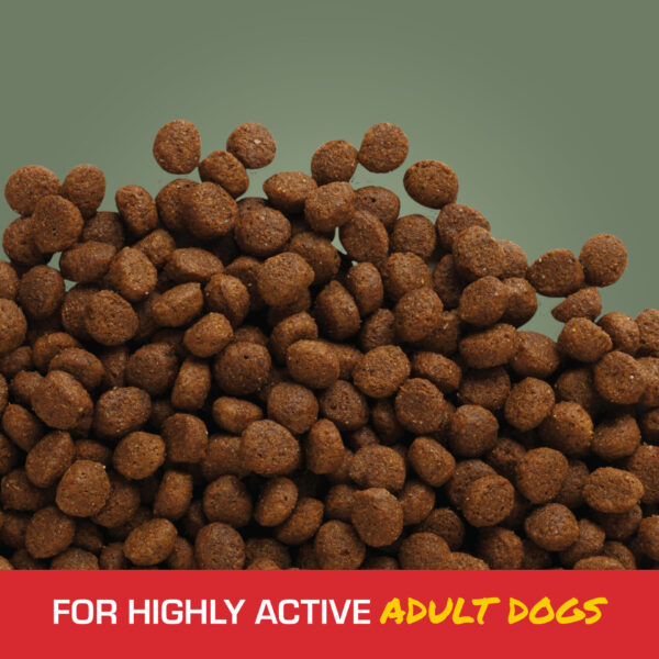 SPORTMIX Stamina Adult Mini Chunk - 50 lb. - Image 3