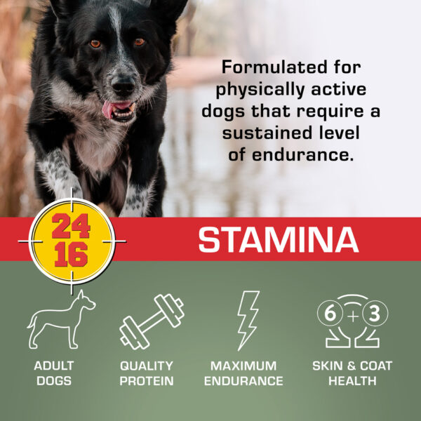 SPORTMIX Stamina Adult Mini Chunk - 50 lb. - Image 4