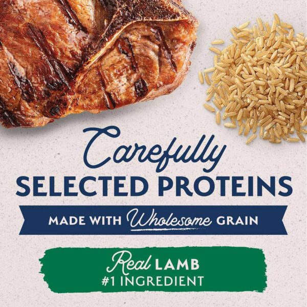 Natural Balance L.I.D. Lamb & Brown Rice Small Bites - 12 lb. - Image 3