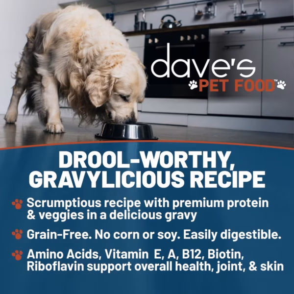 Dave's GRAVYlicious Chicken & Salmon w/ Veggies Pate - 12 oz. - Image 3