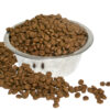 Holistic Choice Salmon - Image 3