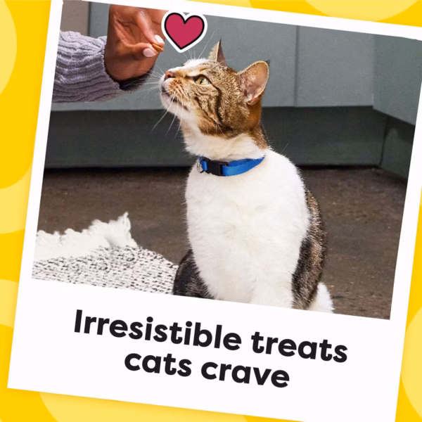 Temptations Chicken Mega Cat Treats - 6.3 oz. - Image 5