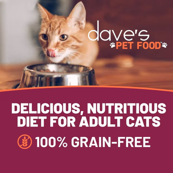 Dave's Grain Free Tuna Entree in Gravy 5.5 oz - Image 4