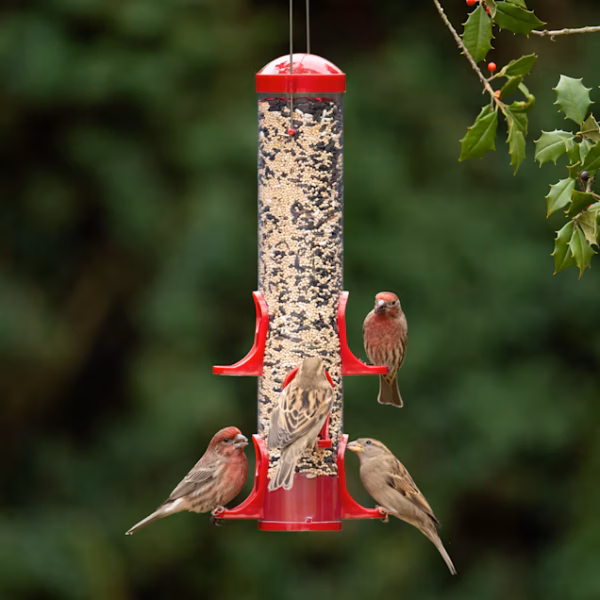 Friends of Flight Finch Blend - Image 2