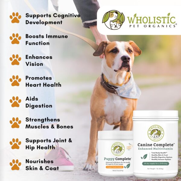 Wholistic Pet Organics - Organic Pumpkin Canine Complete Daily Multivitamin - 1 lb. - Image 2
