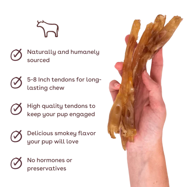 RedBarn Beef Tendon Slims - 4 oz. Bag - Image 2