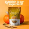 Fruitables Pumpkin & Blueberry - 7 oz. - Image 2