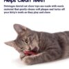 Petstages Catnip Plaque Pretzel Cat Toy - Cleans Teeth - Image 3