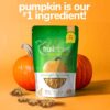Fruitables Pumpkin & Apple - 7 or 12 oz. bag - Image 5