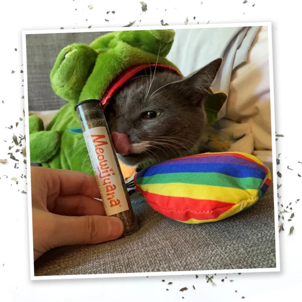 Meowijuana Get a Rise Balloon Refillable Plush Cat Toy w/ Catnip - Image 7