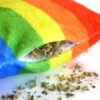 Meowijuana Get a Rise Balloon Refillable Plush Cat Toy w/ Catnip - Image 5