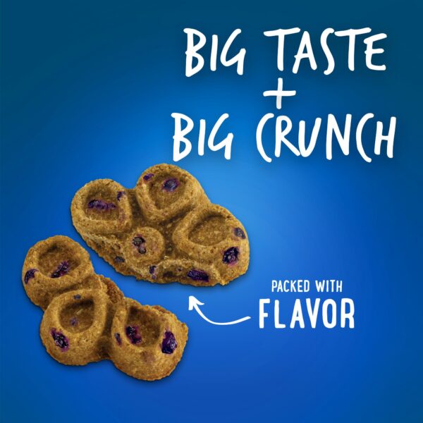 Fruitables Biggies Pumpkin & Blueberry Dog Treats - 16 oz. - Image 2
