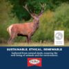 PRIMAL Stag Antler - Image 5