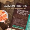 Wholesomes Sensitive Skin & Stomach Large Breed Salmon Dry Dog Food - 30 lb. - Image 3
