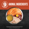 ORIJEN Chunks & Shreds Salmon & Chicken Entree Wet Cat Food - Image 3