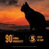 Orijen Wild Reserve for Cats Free-Run Chicken & Wild Caught Fish - 6.5 lbs. - Image 5