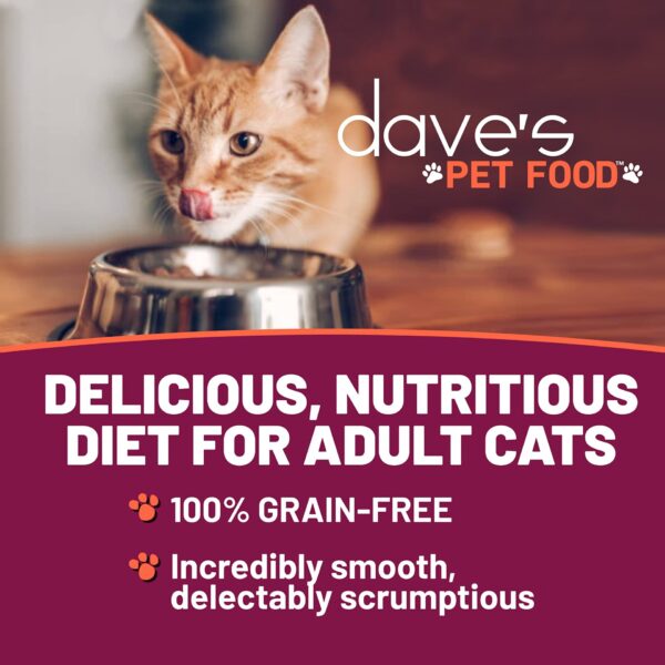 Dave's Pet Food Naturally Healthy Grain-Free Beef & Chicken Pate Cat Food, 12.5-oz can - Image 2