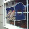 JCS Wildlife NPU Poly Window Feeder - Green - Image 3