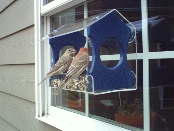 JCS Wildlife NPU Poly Window Feeder - Green - Image 3