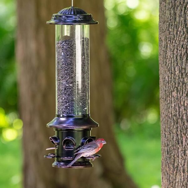 Classic Brands X-5 More Birds Squirrel Proof Feeder - Image 3