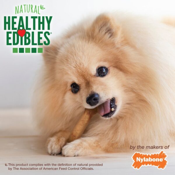 Nylabone Healthy Edibles All-Natural CHICKEN Dog Chew Treats - Petite 8 pack - Image 4