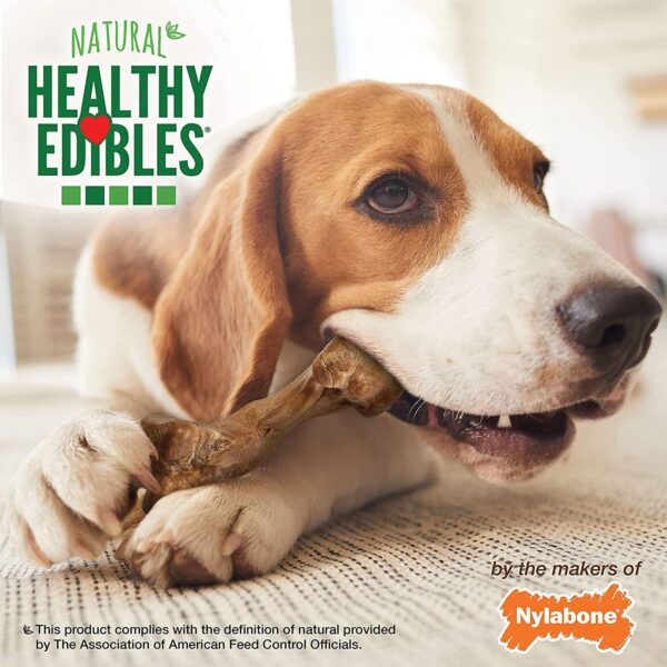 Nylabone Healthy Edibles Wild All-Natural BISON Dog Chew Treats - Medium 2-pack - Image 3