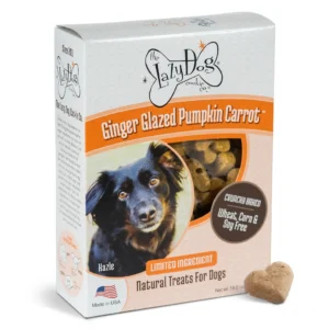 Lazy Dog Co. Limited Ingredient Ginger Glazed Pumpkin Carrot Crunchy Baked Dog Treats - 14 oz.