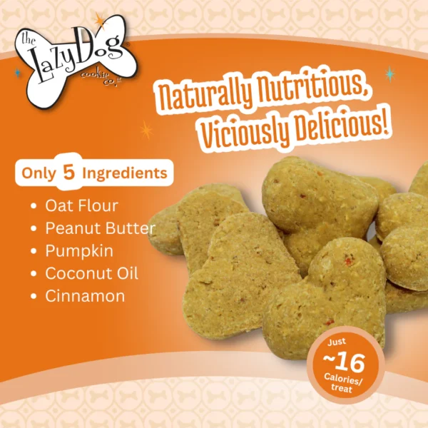 Lazy Dog Co. Limited Ingredient Ginger Glazed Pumpkin Carrot Crunchy Baked Dog Treats - 14 oz. - Image 2