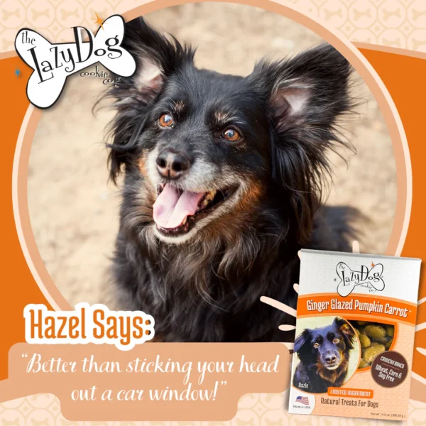 Lazy Dog Co. Limited Ingredient Ginger Glazed Pumpkin Carrot Crunchy Baked Dog Treats - 14 oz. - Image 5
