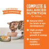 Instinct Original Real Chicken Grain-Free Pate Kitten Wet Food - 5.5 oz. can - Image 4