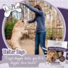 Lazy Dog Co.Limited Ingredient Molasses Crisped Blueberry Oat Crunchy Baked Dog Treats - 14 oz. - Image 5