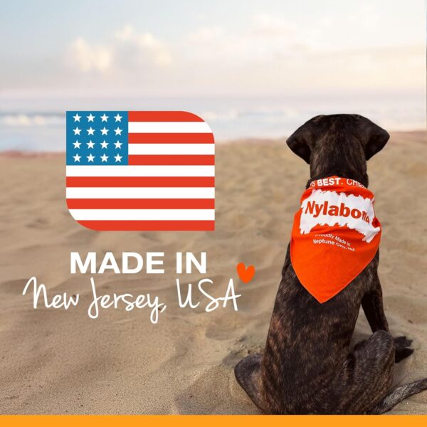 Nylabone Healthy Edibles All-Natural Long Lasting Bacon Chew Treat - Wolf Size 2 Pack - Image 4