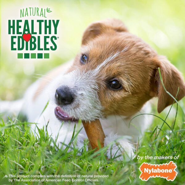 Nylabone Healthy Edibles All-Natural Long Lasting Chicken Chew Treats - Wolf Size 2 Pack - Image 4
