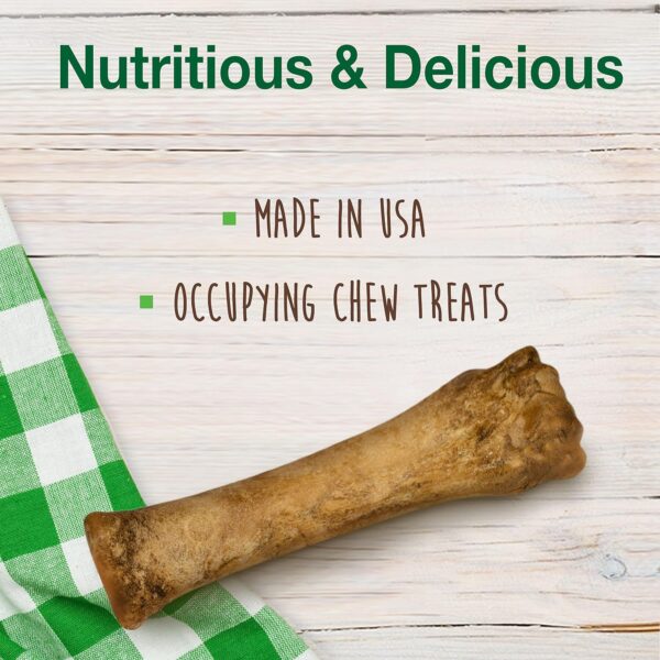 Nylabone Healthy Edibles All-Natural Long Lasting Chicken Chew Treat - Souper Size - Image 3
