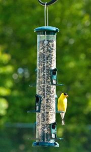 Audubon Green Plastic Tube Feeder - 15 in.