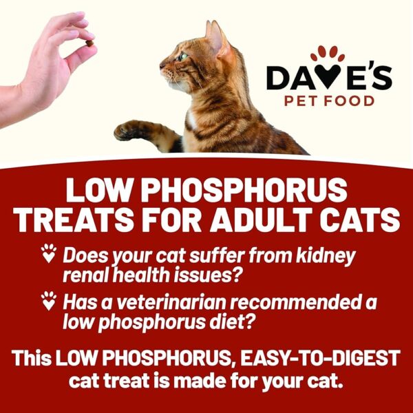 Dave's Renal Friendly Sweet Potato Soft & Chewy Cat Treats - 3 oz. - Image 3
