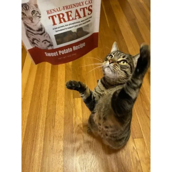 Dave's Renal Friendly Sweet Potato Soft & Chewy Cat Treats - 3 oz. - Image 5