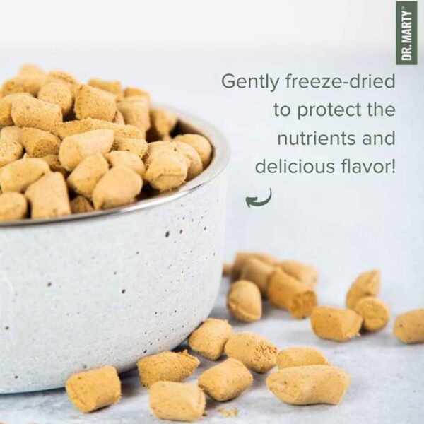 Dr. Marty Nature's Blend Essential Wellness Freeze-Dried Raw Dog Food - Image 3